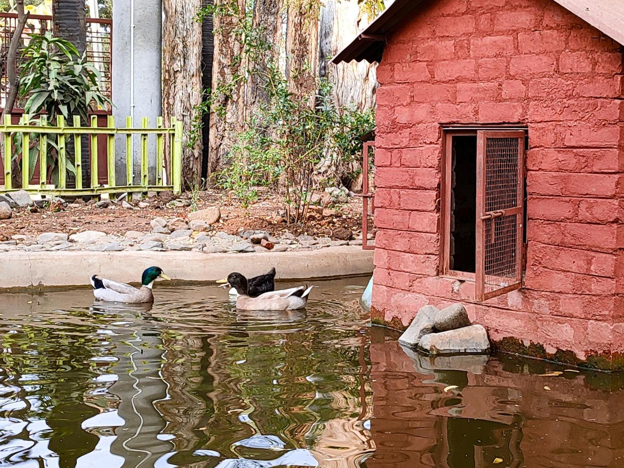Van Vagdo Resort Rajpipla ภายนอก รูปภาพ