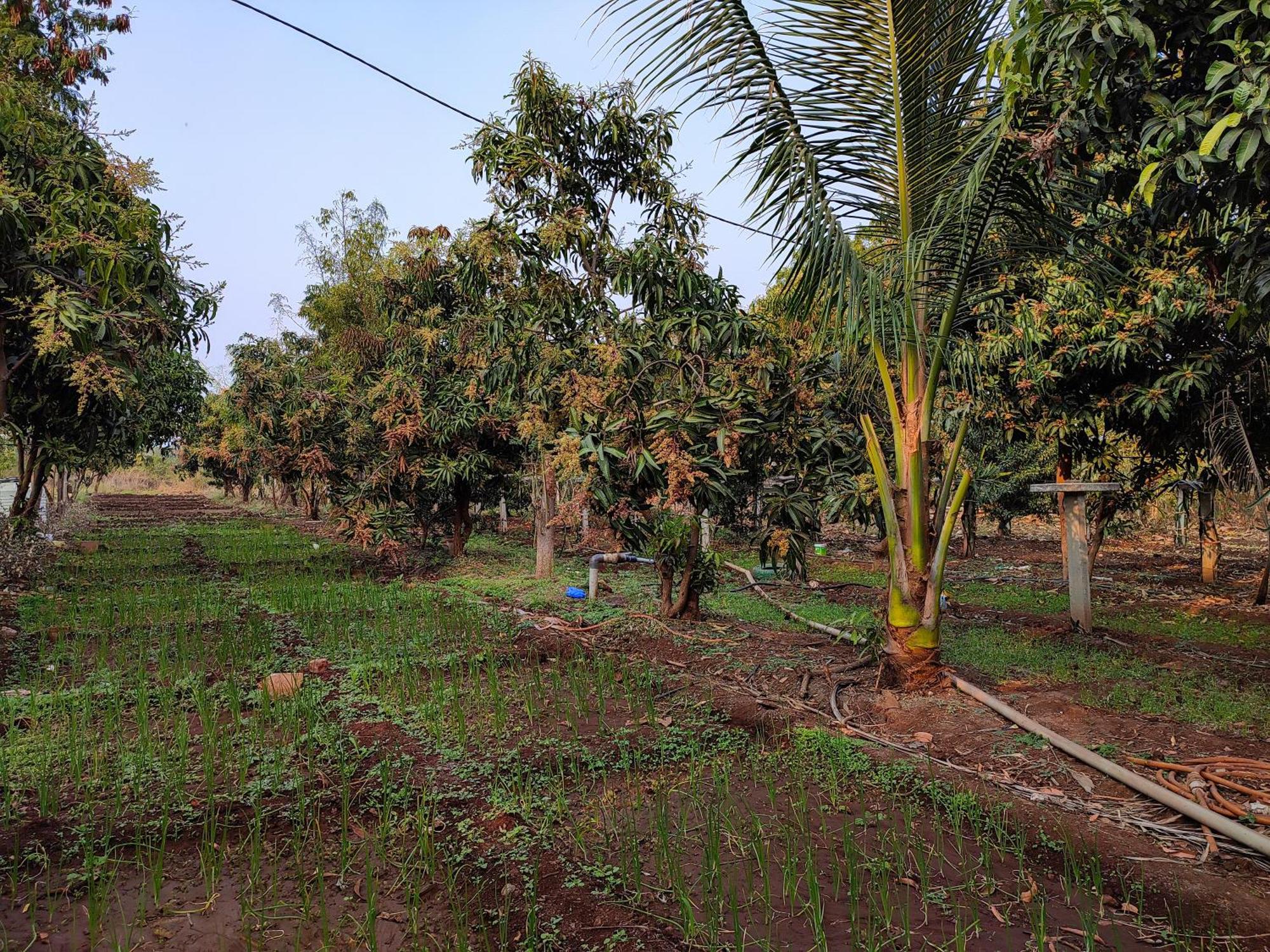 Van Vagdo Resort Rajpipla ภายนอก รูปภาพ