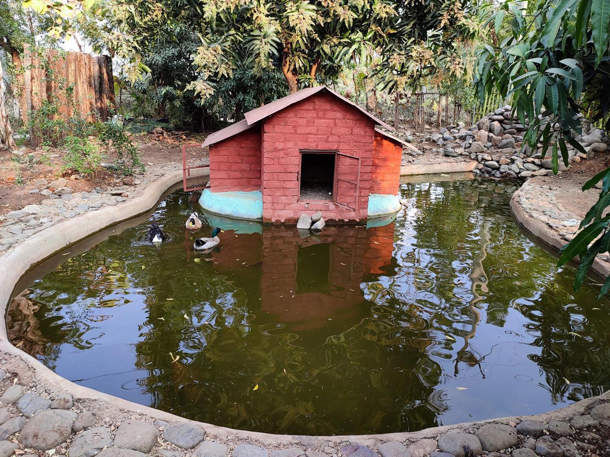 Van Vagdo Resort Rajpipla ภายนอก รูปภาพ